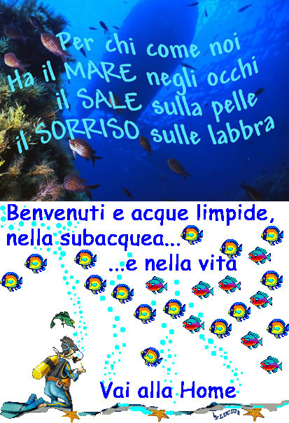 Benvenuti nel sito www.subaquadivingclub.it